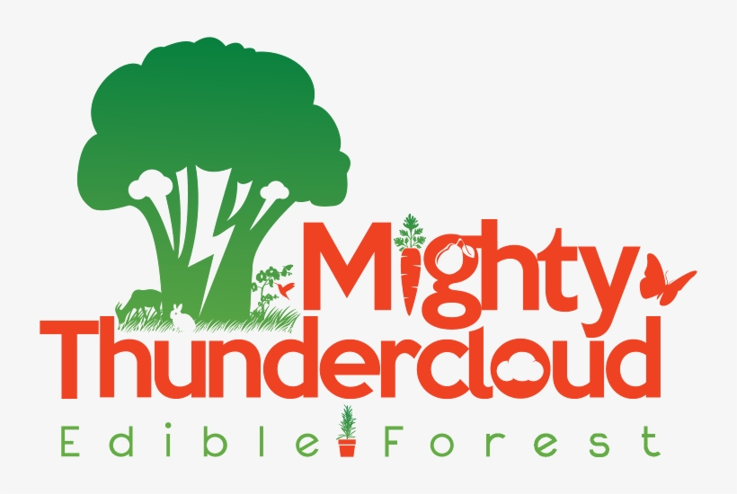 Mighty Thundercloud Edible Forest, transparent png