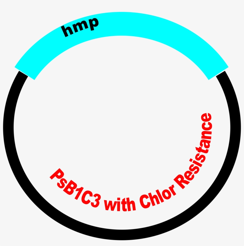 Part Submitted To The Registry, transparent png