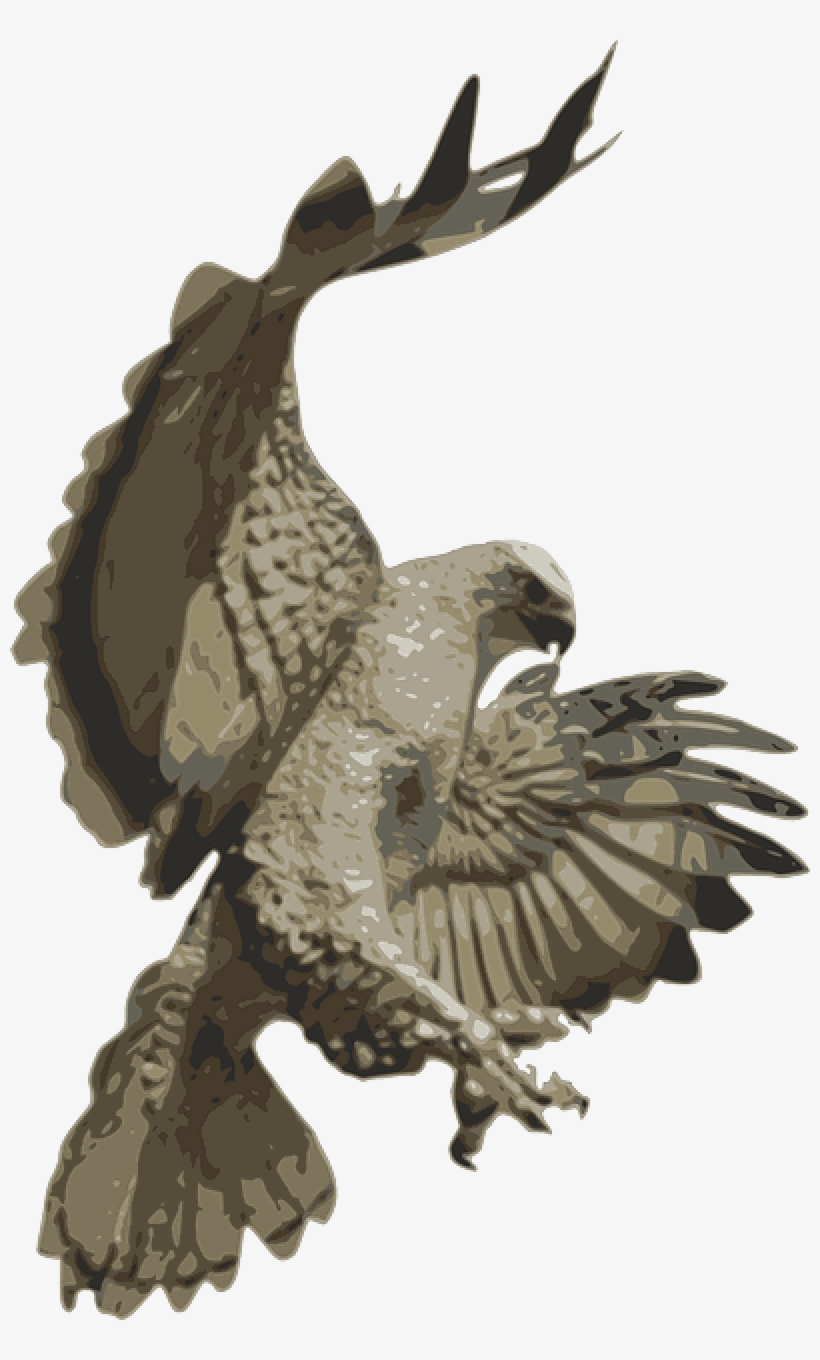 Falcons, Phoenix, Birds, Bird Flying, Eagle Bird, Vector, transparent png