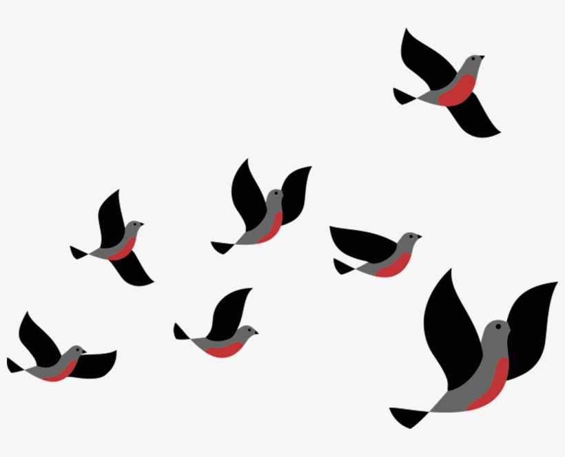 Vinilo Animal Pájaros Volando, transparent png