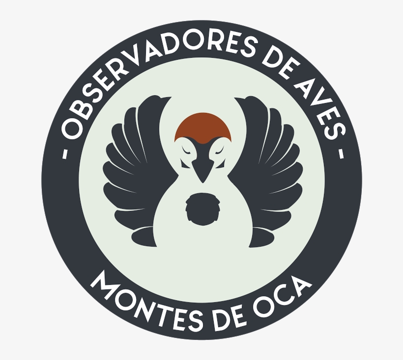 Anuncios, transparent png