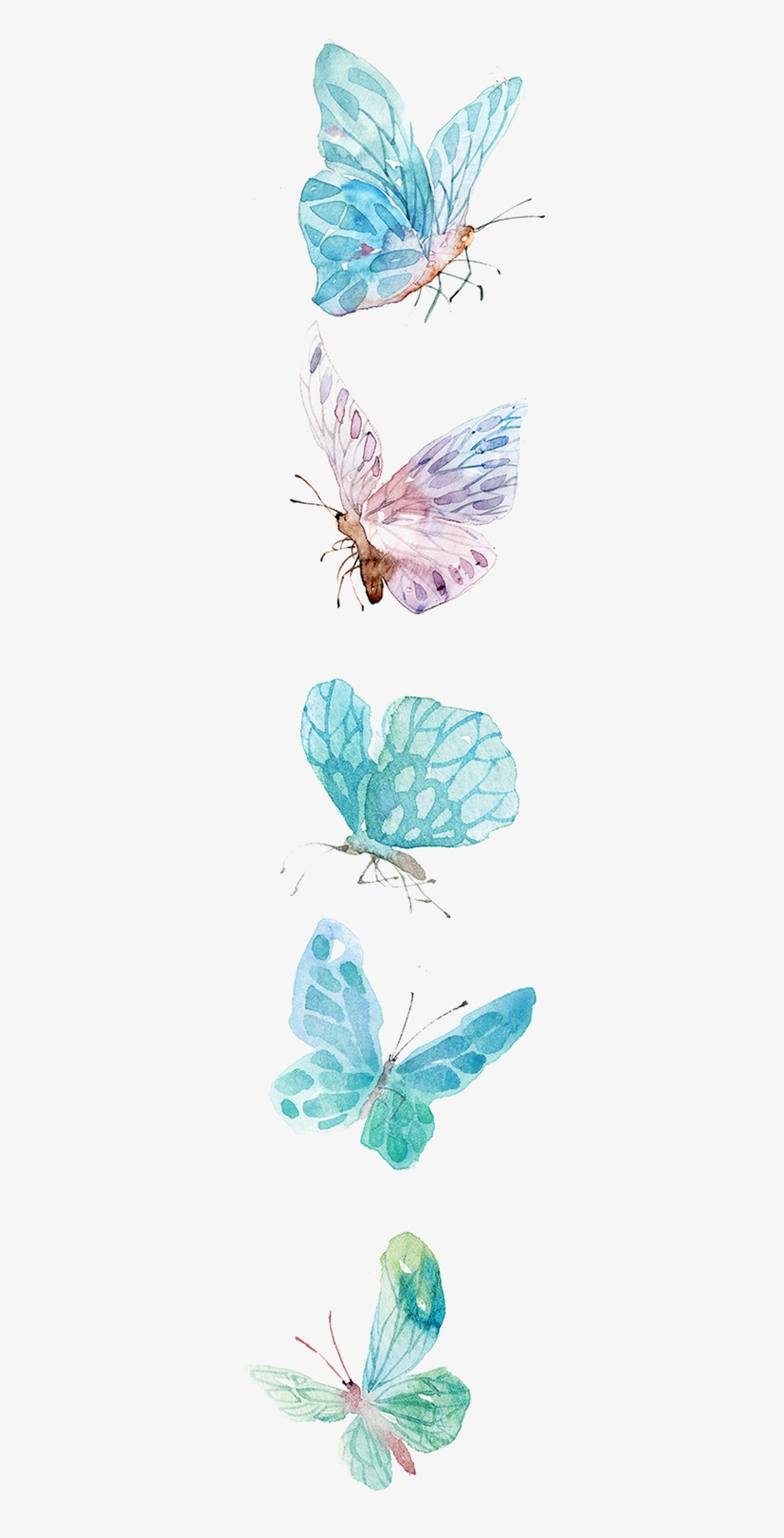Mariposas Azules Png, transparent png