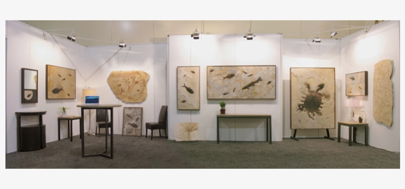 Fossil Stone Murals Showroom Trade Show, transparent png