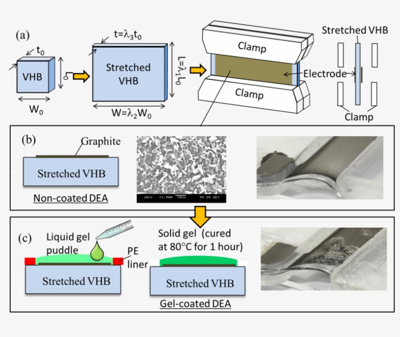 Fabrication Steps For Silicone-gel Coated Acrylic Dea, transparent png