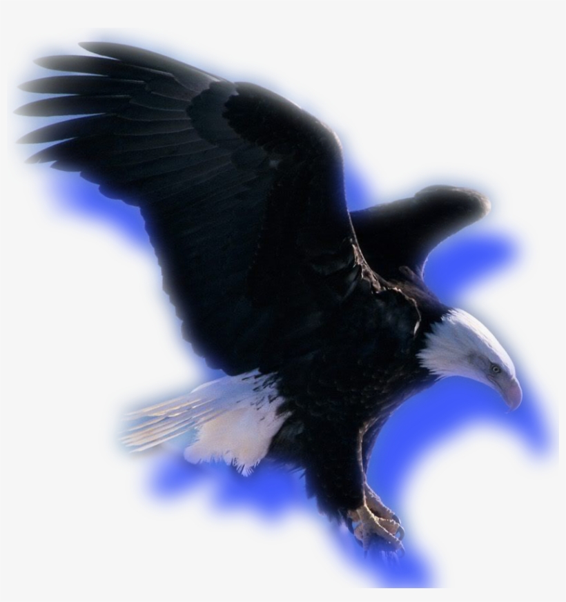 De Acuerdo Con Lo Hablado Y Acordado En La Reunión, transparent png