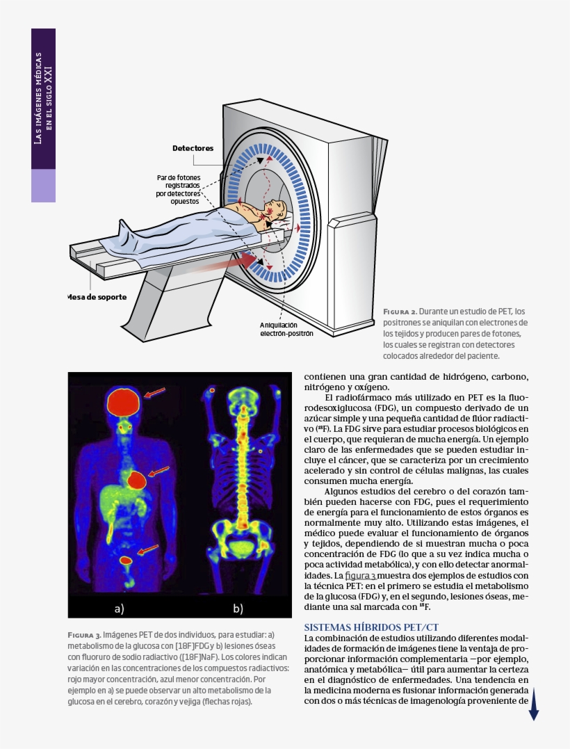 Centros De Investigación Conacyt, transparent png
