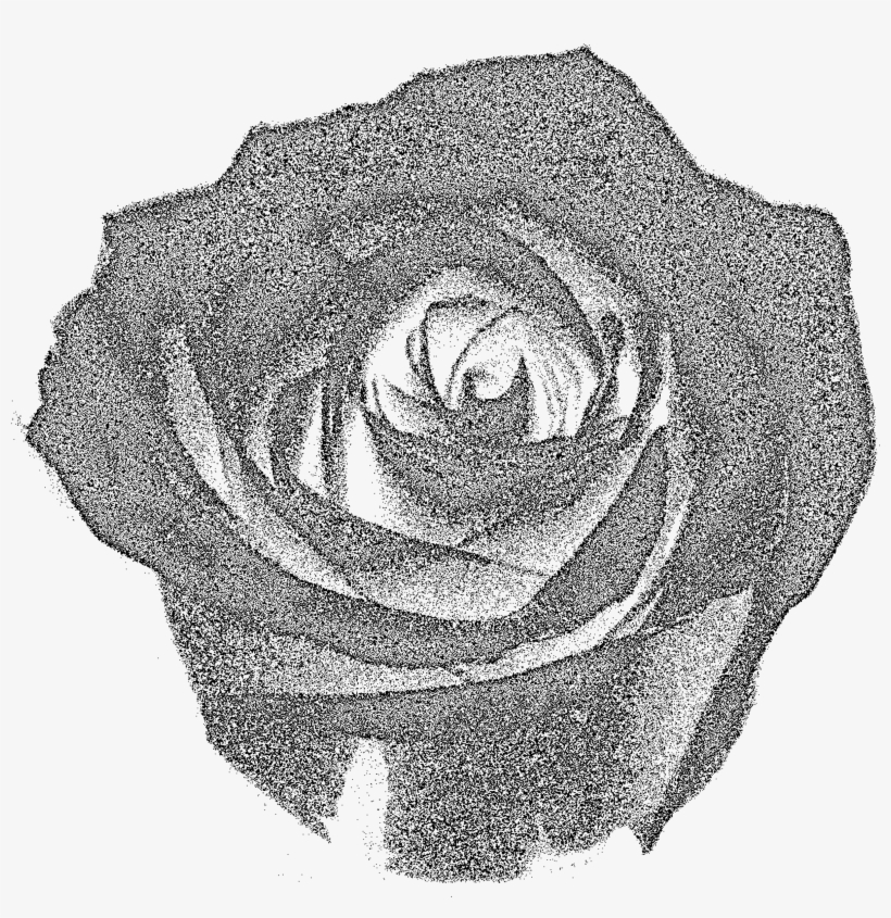 This Free Icons Png Design Of Rose Tone 1, transparent png