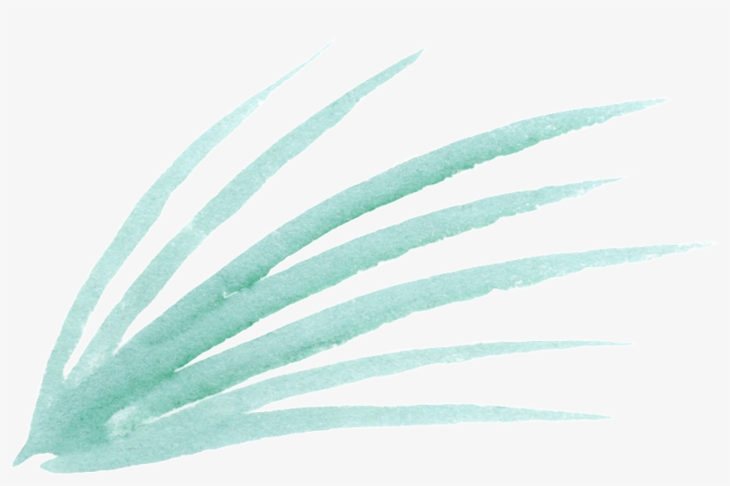 Estrella Fugaz Png, transparent png
