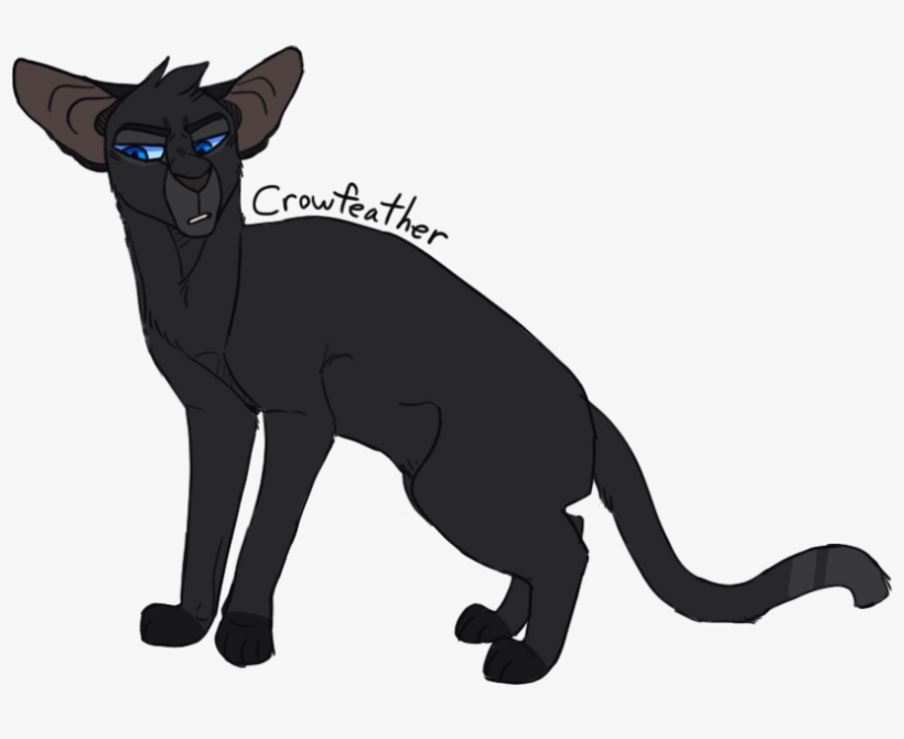 Crowfeather O H I H A T E H I M So I've Finally Drawn, transparent png