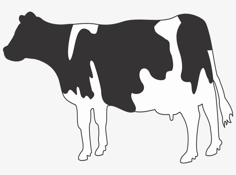 Imágenes De Vacas, transparent png
