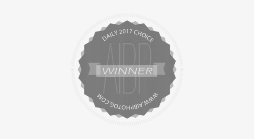 Aibp Daily Choice Winner, transparent png