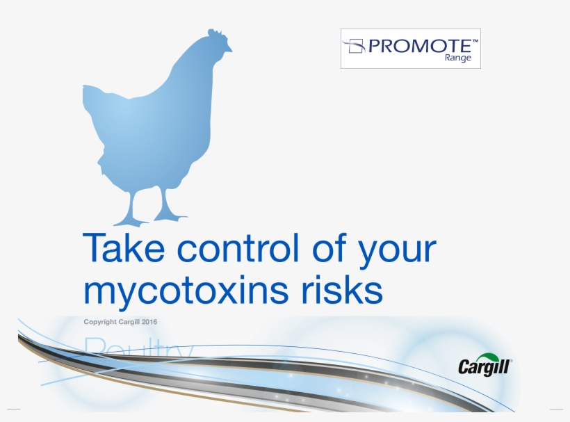 Take Control Of Mycotoxin Risks In Poultry, transparent png