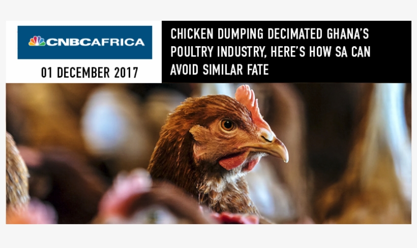 Chicken Dumping Decimated Ghana's Poultry Industry,, transparent png