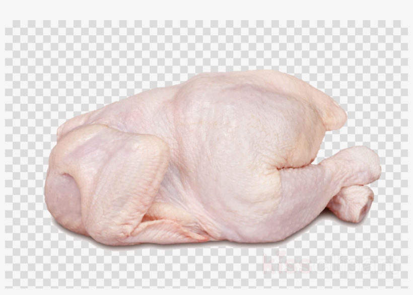 Chicken Raw Png Clipart Chicken As Food Buffalo Wing, transparent png