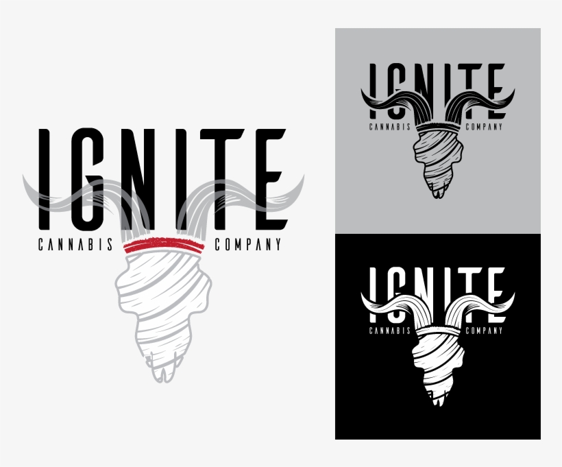 Danbilzarian Ignite Dribbblepost3, transparent png
