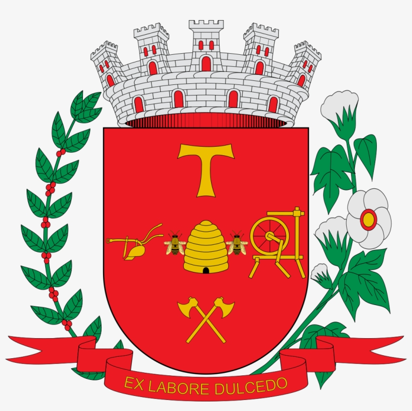 Brasão De Americana, transparent png