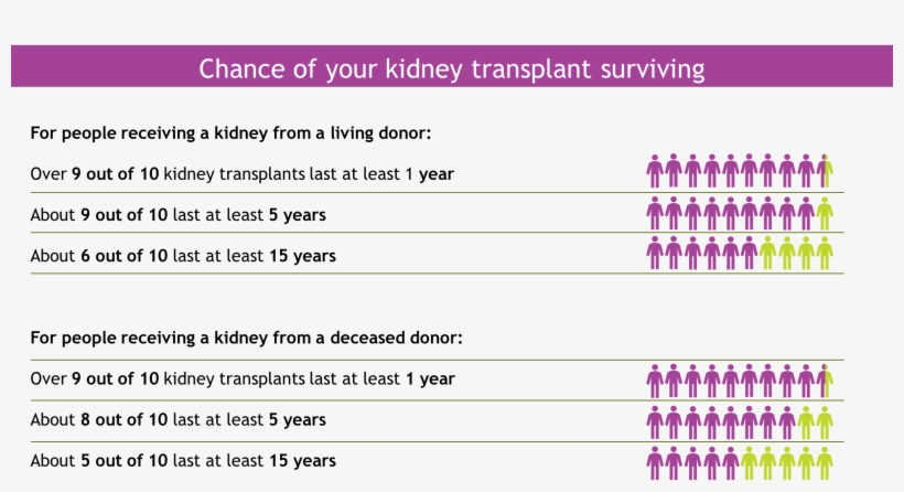 Transplants Survival Table, transparent png