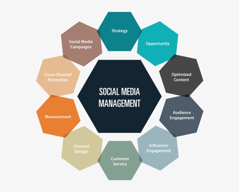 Do Social Media Management And Marketing At Best Price, transparent png
