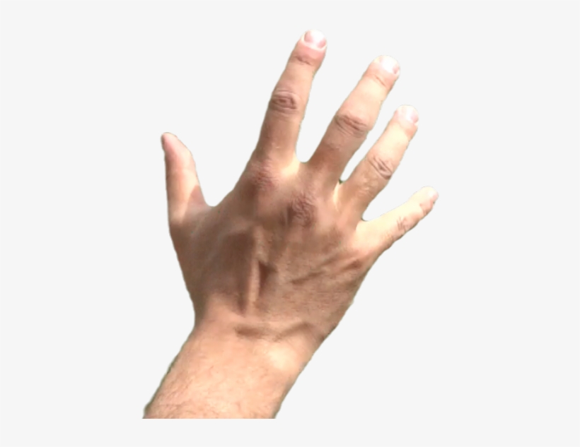 Thumb Image, transparent png