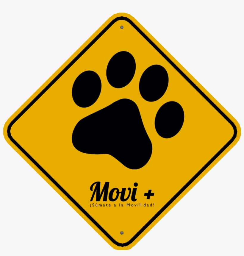 No Son Un Capricho, Son Por La Protección Animal, transparent png