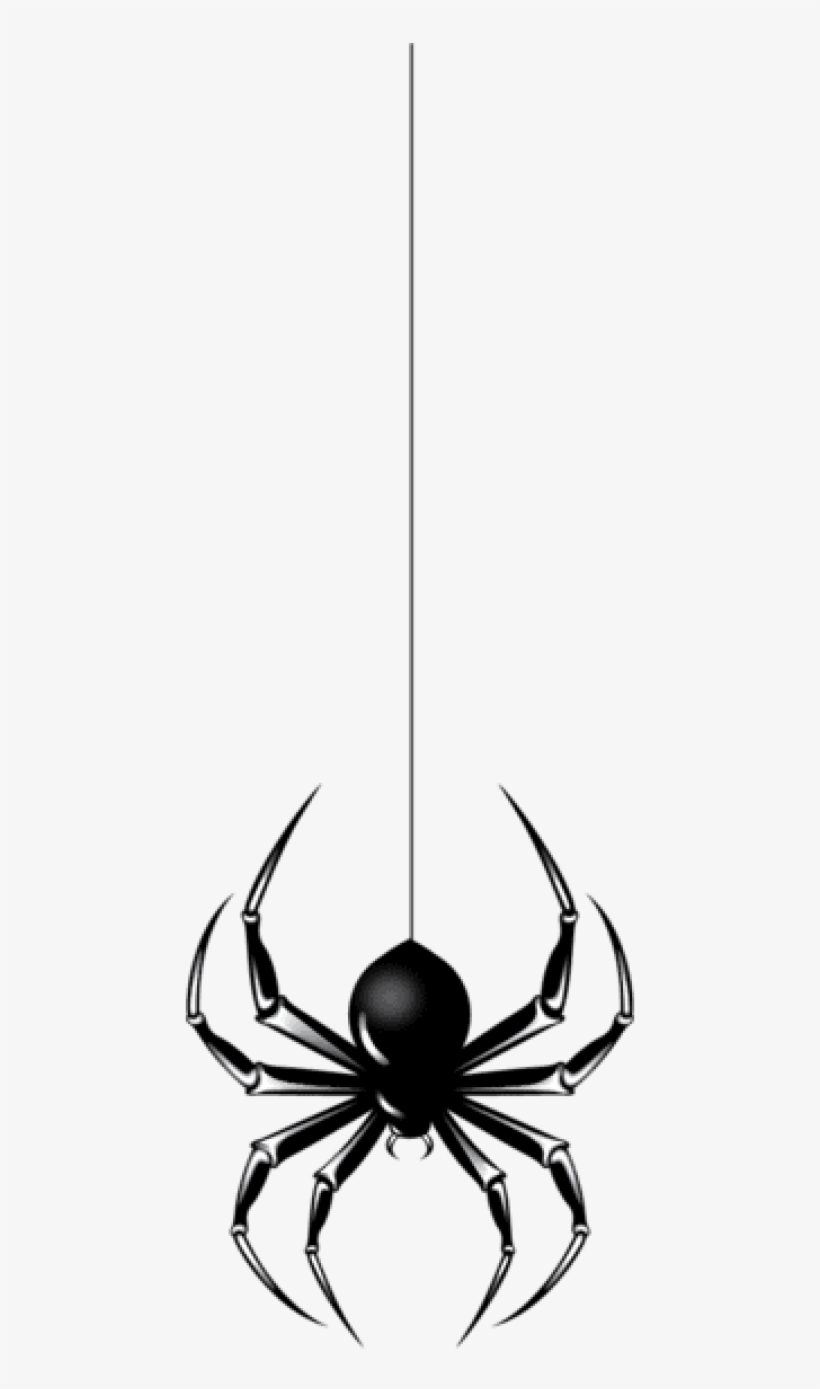 Download Halloween Black Spider Png Images Background, transparent png