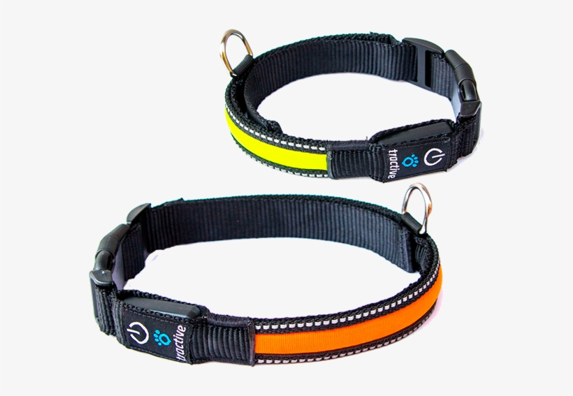 Collar Para Perros Led Tractive, transparent png