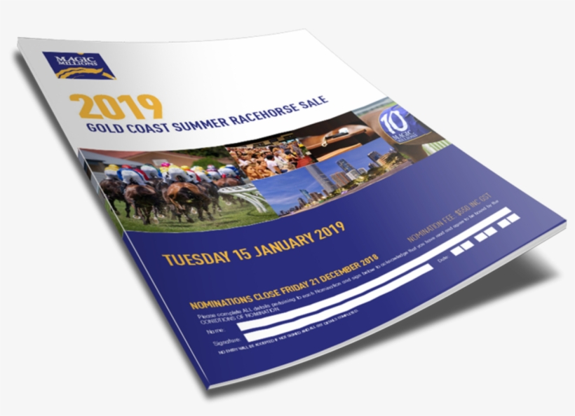 ← 2019 Gold Coast Summer Racehorse Sale, transparent png