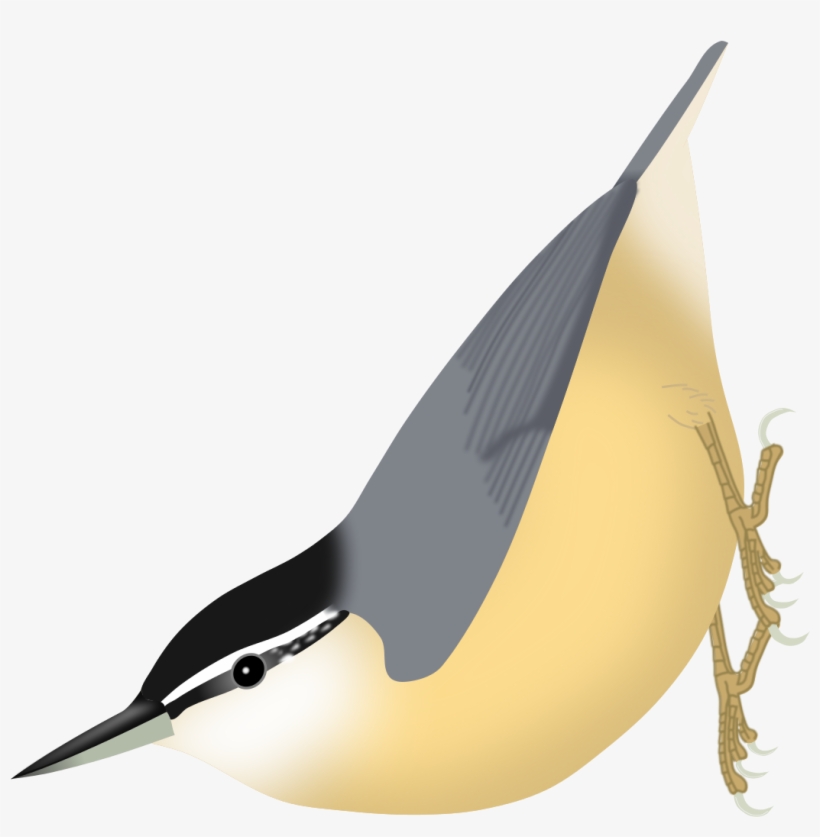 Grieta Png, transparent png