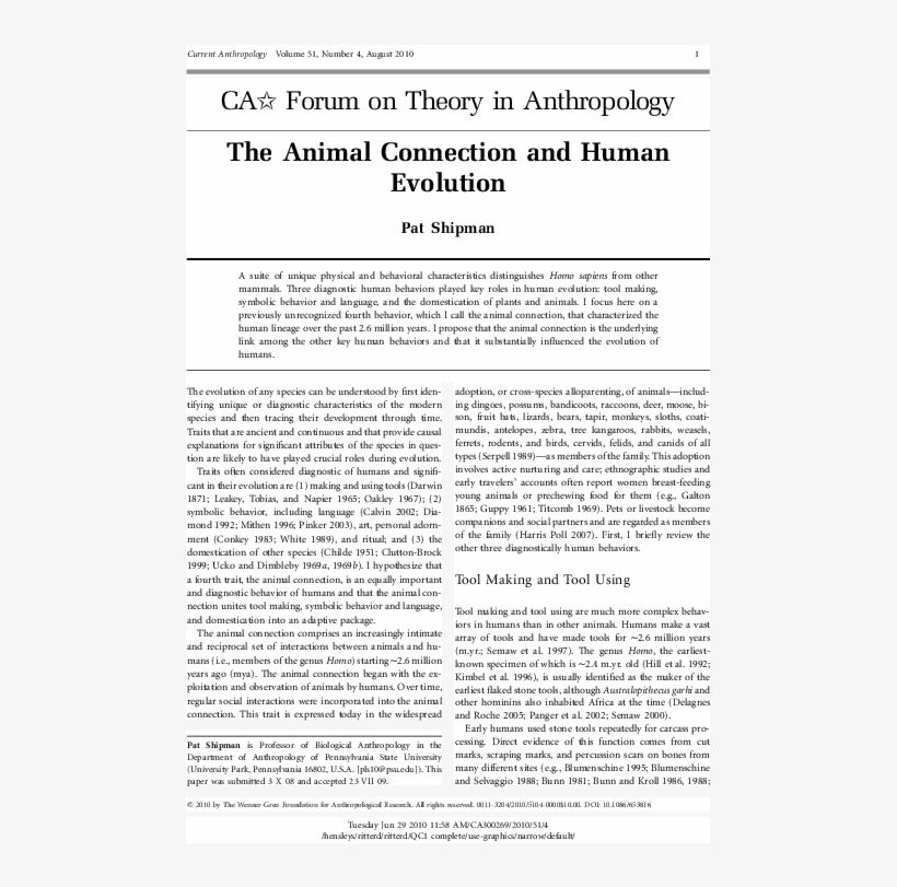 Pdf, transparent png