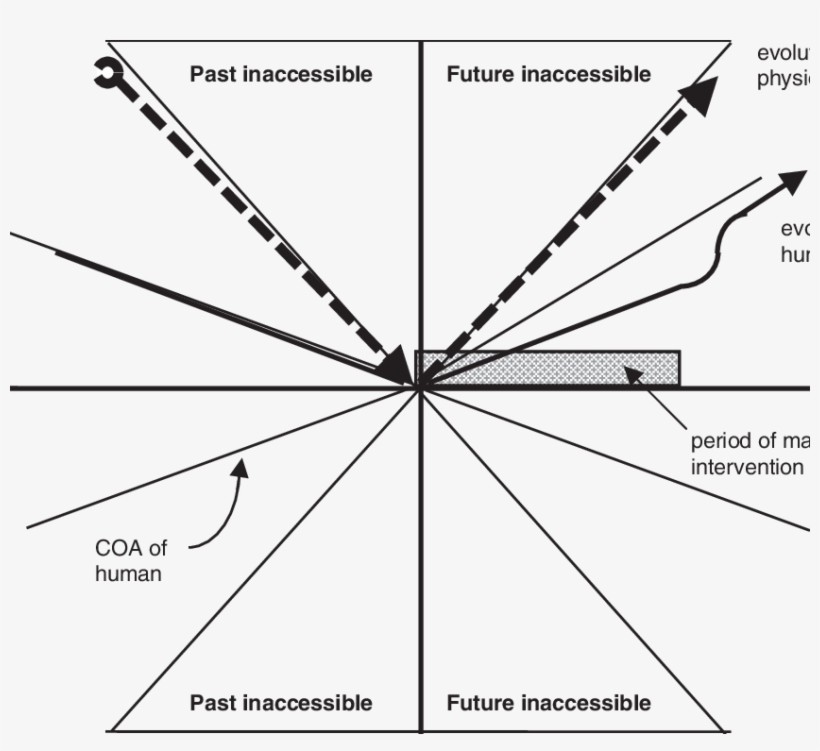 The F Human Is Slowed, So That The Rate Of Evolution, transparent png