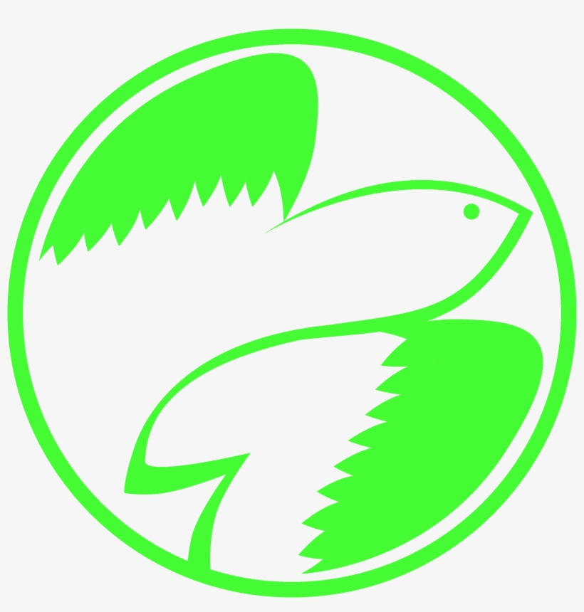 Flying Fish Png, transparent png