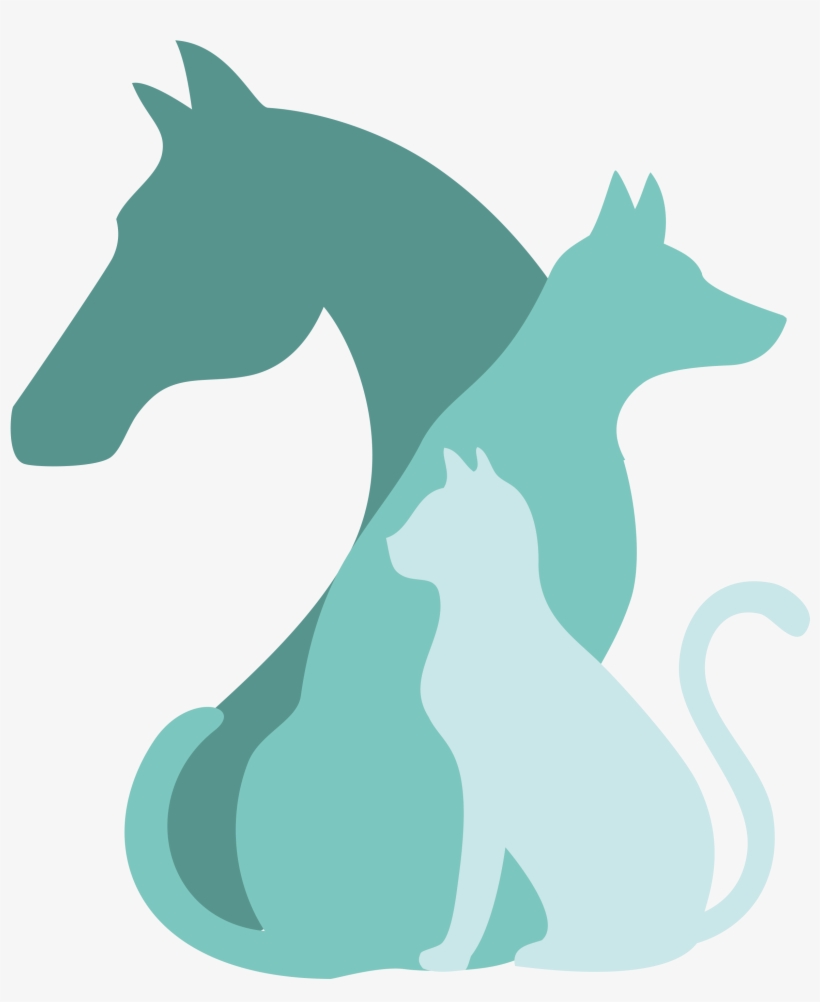 K9 Kim Logo, transparent png