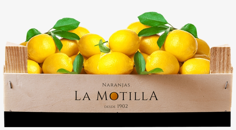 Lemons, transparent png