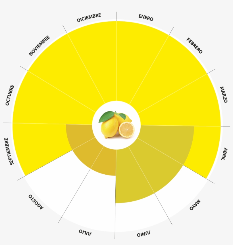 Calendario Producción Limon Bio, transparent png