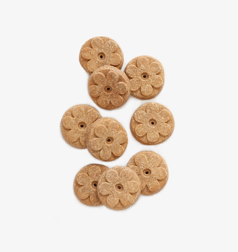 Earthborn Holistic® Lamb Meal Recipe Biscuits, transparent png
