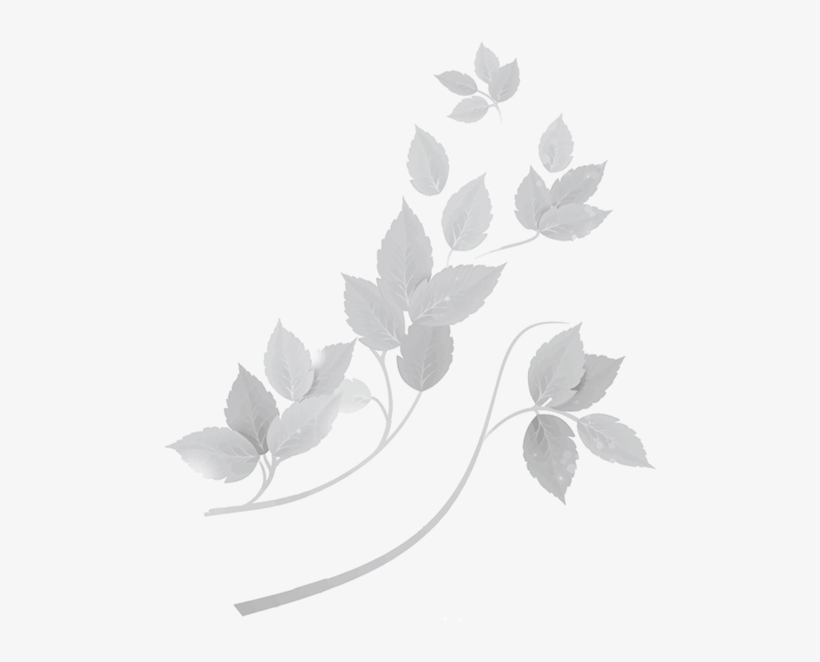 Site Map, transparent png