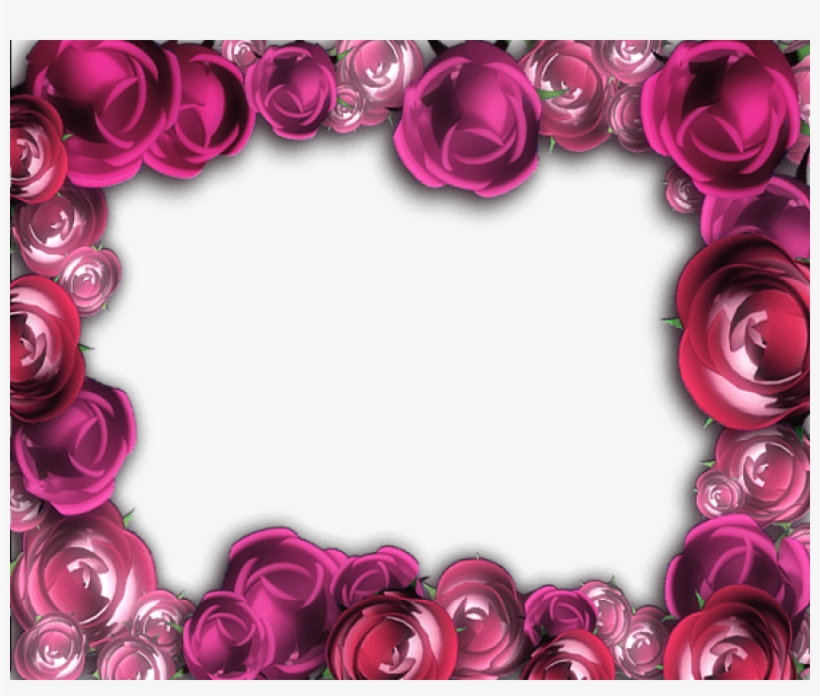 Free Png Best Stock Photos Transparent Pink Roses Frame, transparent png