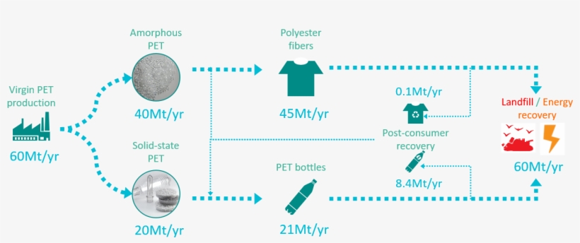 Our Vision Is To Eliminate The Issue Of Plastics Waste, transparent png