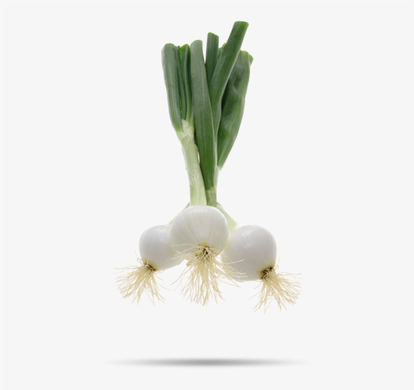 Cebolla Png, transparent png
