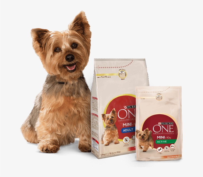 Yorkshire Terrier Y Productos Purina One Mini, transparent png