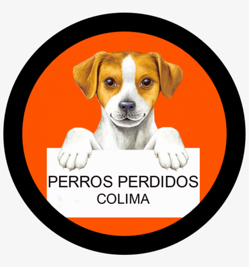 En Este Sitio Web Te Ayudaremos A Localizar A Tu Pequeño, transparent png