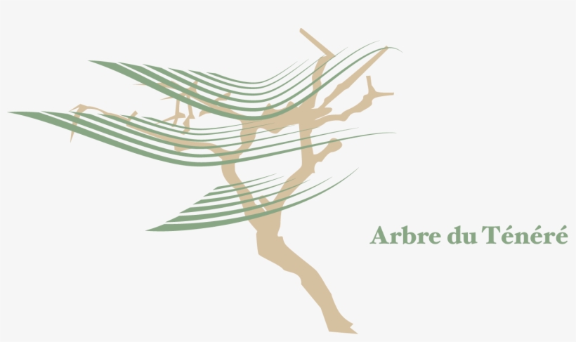 Arbre Du Tenere, transparent png