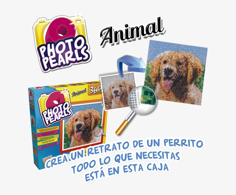 Perritos Png, transparent png