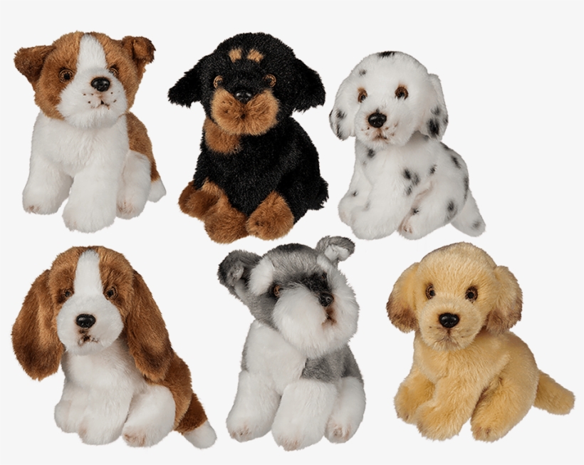 Perritos Png, transparent png