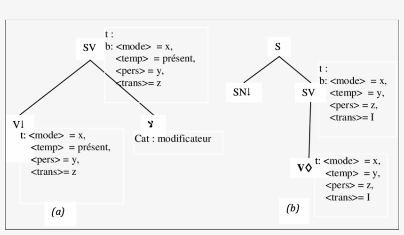 Exemples D'arbres Élémentaires Utilisant La Grammaire, transparent png