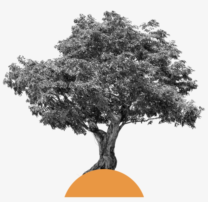 A Culture Bearing Values And Pillars On Which The Organisation, transparent png