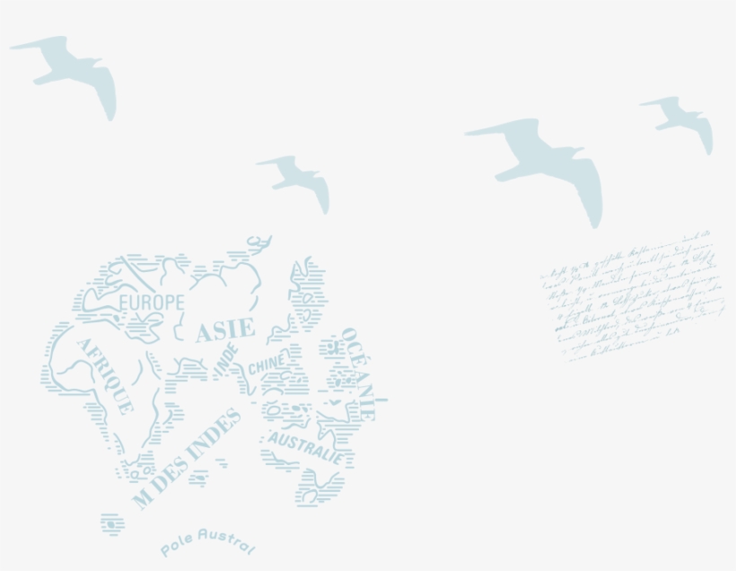Gaviotas Png, transparent png