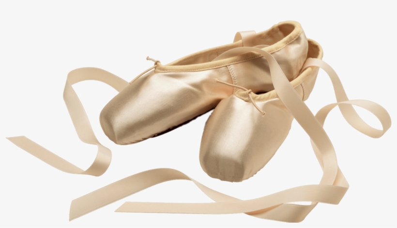 Ballerina Detective And The Missing Jeweled Tiara [book], transparent png