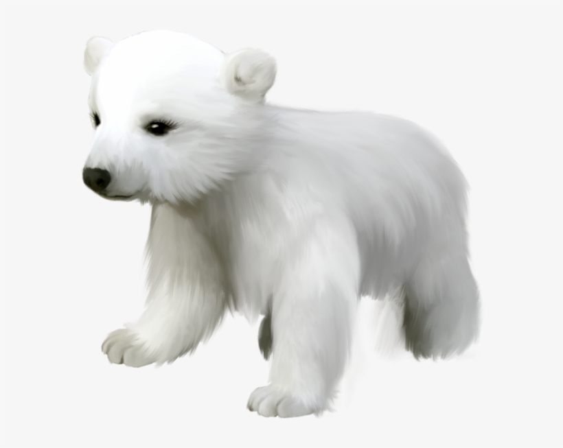 Cute Small Polar Bear Png Clipart - Cute Polar Bear Transparent, transparent png