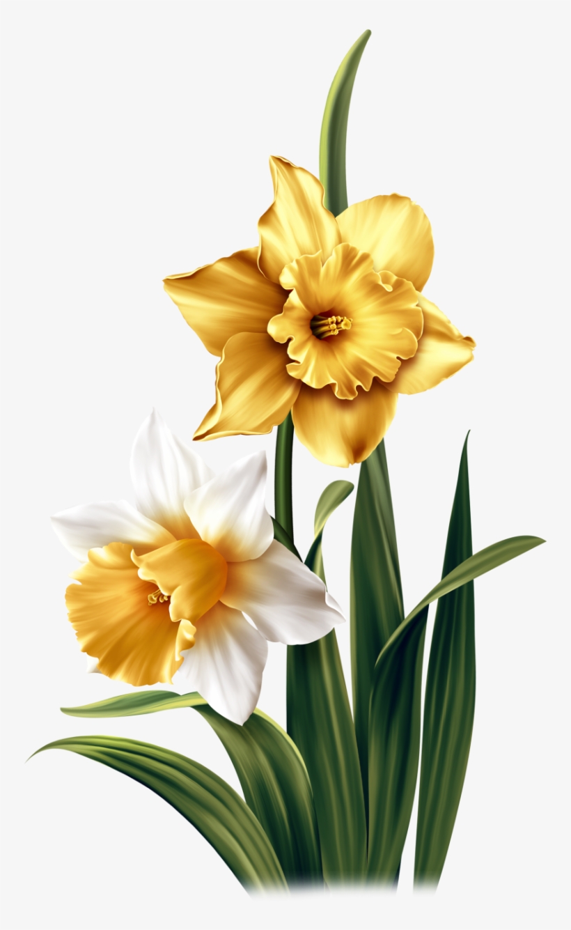 Spring Glow - Craft, transparent png